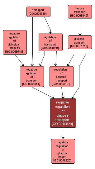 GO:0010829 - negative regulation of glucose transport (interactive image map)