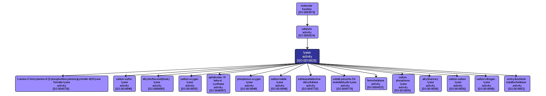 GO:0016829 - lyase activity (interactive image map)