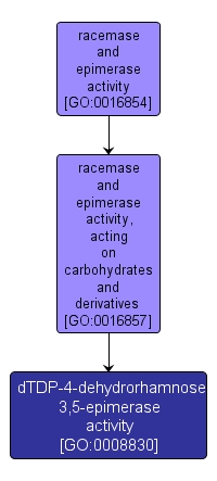 GO:0008830 - dTDP-4-dehydrorhamnose 3,5-epimerase activity (interactive image map)