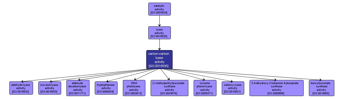 GO:0016830 - carbon-carbon lyase activity (interactive image map)