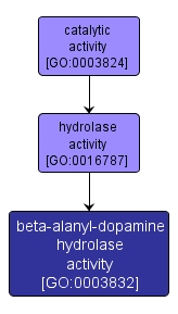 GO:0003832 - beta-alanyl-dopamine hydrolase activity (interactive image map)
