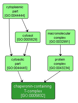 GO:0005832 - chaperonin-containing T-complex (interactive image map)