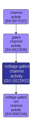 GO:0022832 - voltage-gated channel activity (interactive image map)