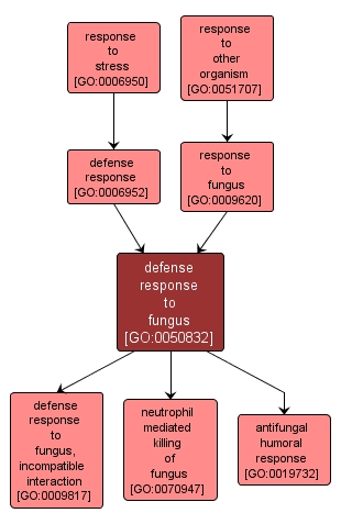 GO:0050832 - defense response to fungus (interactive image map)