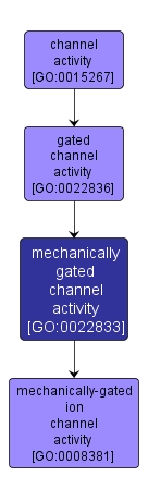 GO:0022833 - mechanically gated channel activity (interactive image map)