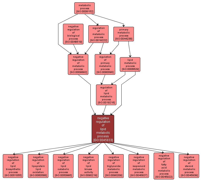 GO:0045833 - negative regulation of lipid metabolic process (interactive image map)