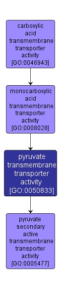 GO:0050833 - pyruvate transmembrane transporter activity (interactive image map)