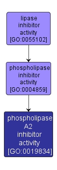 GO:0019834 - phospholipase A2 inhibitor activity (interactive image map)