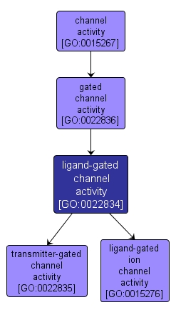 GO:0022834 - ligand-gated channel activity (interactive image map)