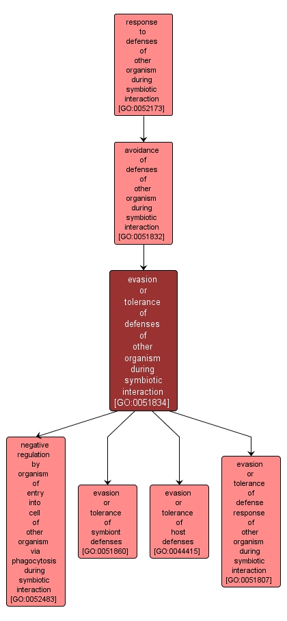 GO:0051834 - evasion or tolerance of defenses of other organism during symbiotic interaction (interactive image map)