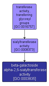 GO:0003835 - beta-galactoside alpha-2,6-sialyltransferase activity (interactive image map)