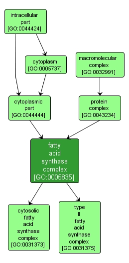GO:0005835 - fatty acid synthase complex (interactive image map)