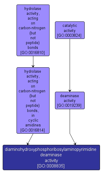 GO:0008835 - diaminohydroxyphosphoribosylaminopyrimidine deaminase activity (interactive image map)