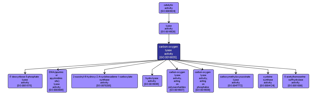 GO:0016835 - carbon-oxygen lyase activity (interactive image map)
