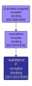 GO:0031835 - substance P receptor binding (interactive image map)
