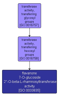 GO:0033835 - flavanone 7-O-glucoside 2''-O-beta-L-rhamnosyltransferase activity (interactive image map)