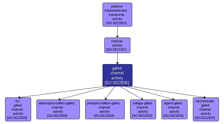 GO:0022836 - gated channel activity (interactive image map)