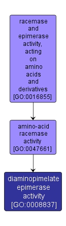 GO:0008837 - diaminopimelate epimerase activity (interactive image map)