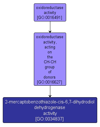 GO:0034837 - 2-mercaptobenzothiazole-cis-6,7-dihydrodiol dehydrogenase activity (interactive image map)