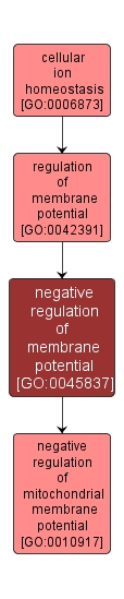 GO:0045837 - negative regulation of membrane potential (interactive image map)