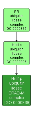 GO:0000838 - Hrd1p ubiquitin ligase ERAD-M complex (interactive image map)