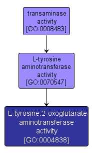 GO:0004838 - L-tyrosine:2-oxoglutarate aminotransferase activity (interactive image map)