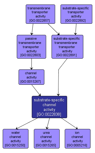 GO:0022838 - substrate-specific channel activity (interactive image map)