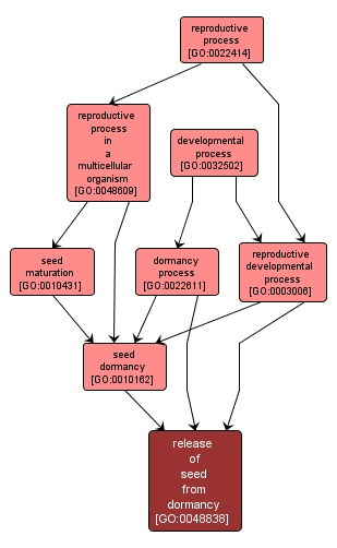 GO:0048838 - release of seed from dormancy (interactive image map)