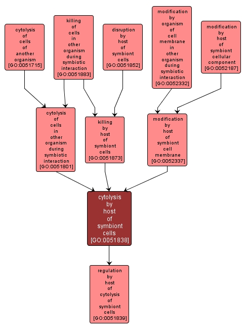 GO:0051838 - cytolysis by host of symbiont cells (interactive image map)