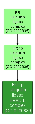GO:0000839 - Hrd1p ubiquitin ligase ERAD-L complex (interactive image map)