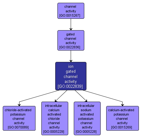 GO:0022839 - ion gated channel activity (interactive image map)