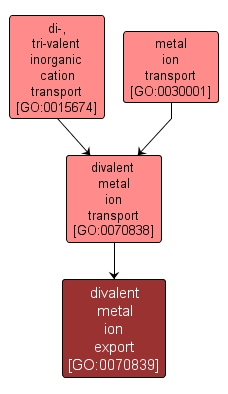 GO:0070839 - divalent metal ion export (interactive image map)