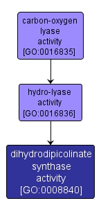 GO:0008840 - dihydrodipicolinate synthase activity (interactive image map)