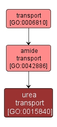 GO:0015840 - urea transport (interactive image map)