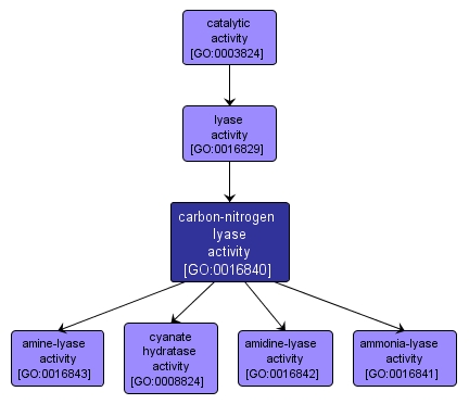 GO:0016840 - carbon-nitrogen lyase activity (interactive image map)