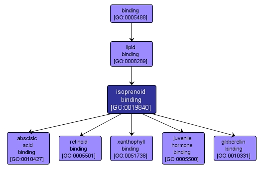 GO:0019840 - isoprenoid binding (interactive image map)