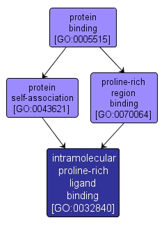 GO:0032840 - intramolecular proline-rich ligand binding (interactive image map)