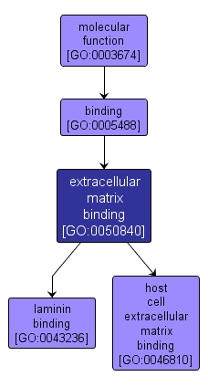 GO:0050840 - extracellular matrix binding (interactive image map)