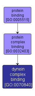 GO:0070840 - dynein complex binding (interactive image map)