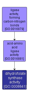 GO:0008841 - dihydrofolate synthase activity (interactive image map)