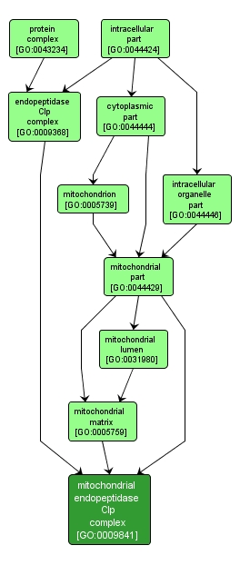 GO:0009841 - mitochondrial endopeptidase Clp complex (interactive image map)