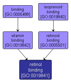 GO:0019841 - retinol binding (interactive image map)