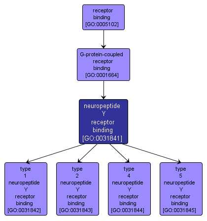 GO:0031841 - neuropeptide Y receptor binding (interactive image map)