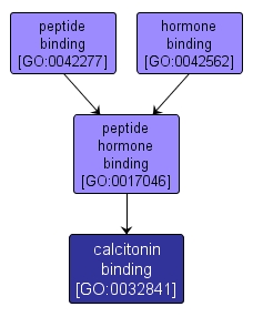 GO:0032841 - calcitonin binding (interactive image map)