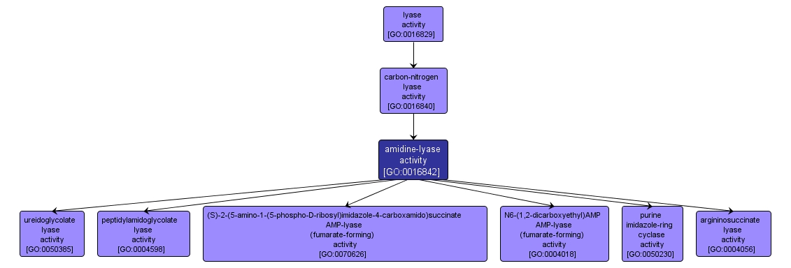 GO:0016842 - amidine-lyase activity (interactive image map)