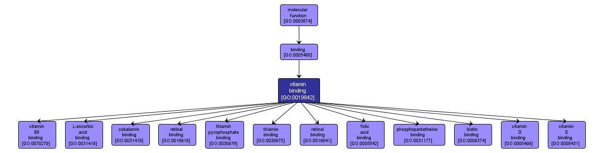 GO:0019842 - vitamin binding (interactive image map)