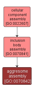 GO:0070842 - aggresome assembly (interactive image map)