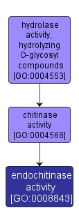 GO:0008843 - endochitinase activity (interactive image map)