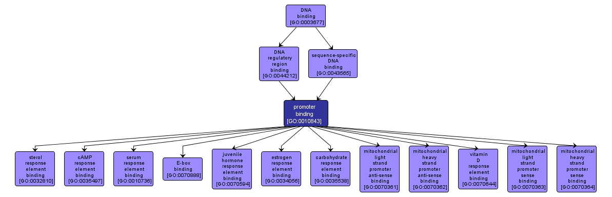 GO:0010843 - promoter binding (interactive image map)