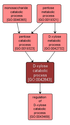 GO:0042843 - D-xylose catabolic process (interactive image map)